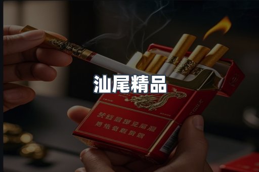 汕尾精品